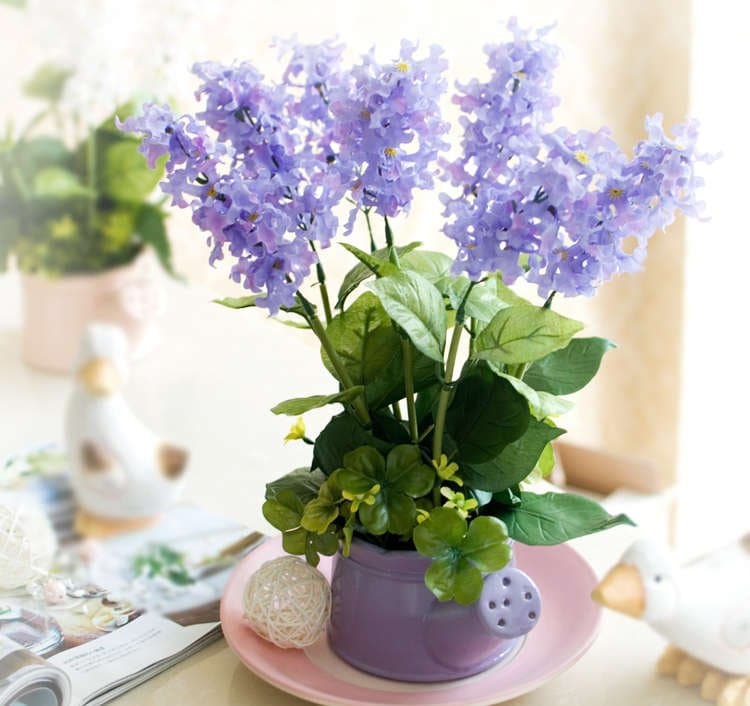conservare a lungo i fiori mobiliperpassione