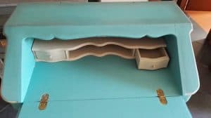 bright-turquoise+canvas+ceratalpa1