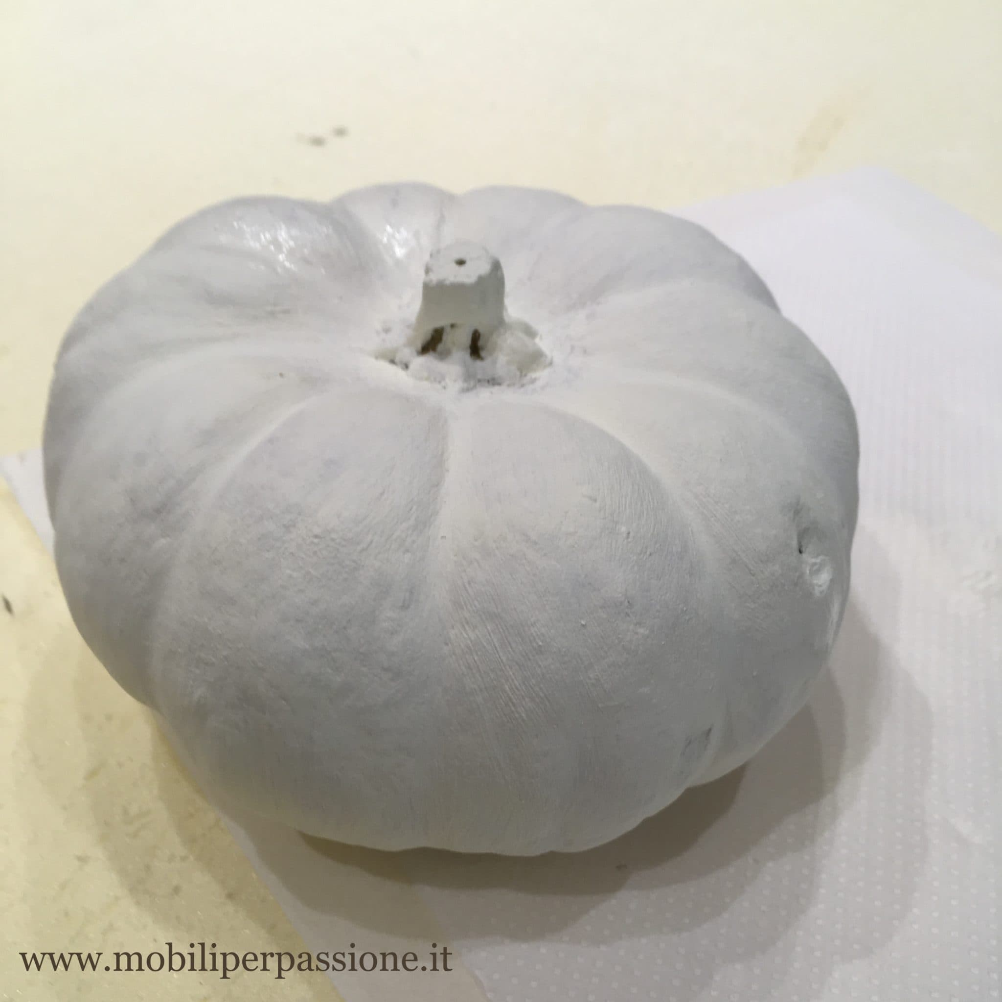 zucca bianca