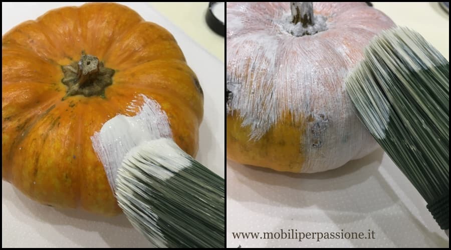 zucca_fase3