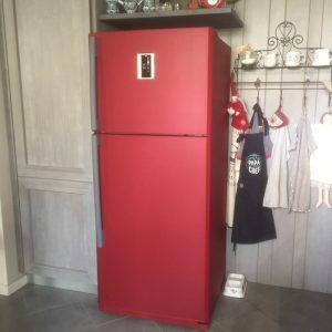 Nuovo vestito per il frigo Samsung