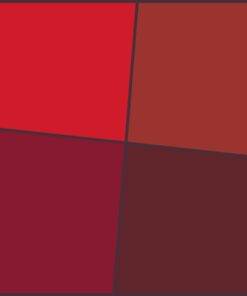 Vernice SETA PLUS SANIFICANTE effetto laccato COLORI ROSSI | I colori di Lucia