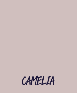Vernice gesso CAMELIA SHABBY | I colori di Lucia