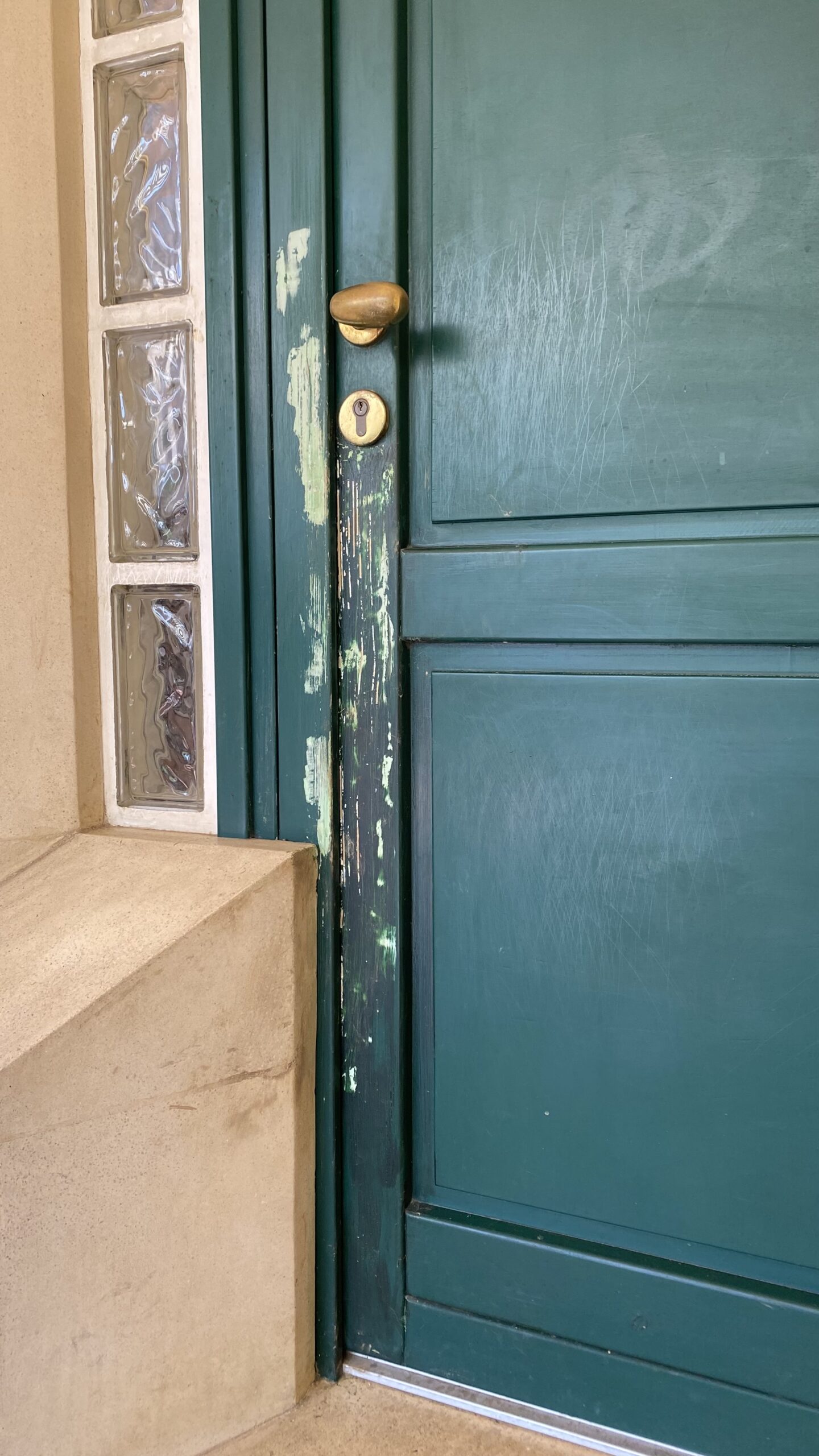 graffi sulla porta ingresso rovinata dal cane