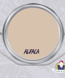 Vernice SETA Effetto Laccato Colore ALPACA | I Colori di Lucia