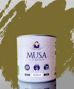 vernice MUSA 3 in 1 multisuperficie