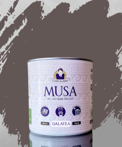 vernice MUSA 3 in 1 multisuperficie