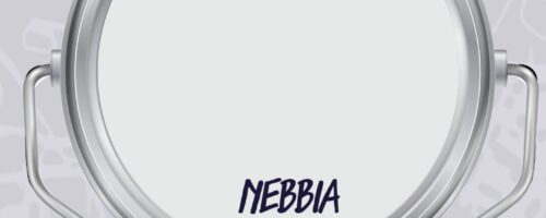 Vernice SETA Effetto Laccato Colore NEBBIA | I Colori di Lucia