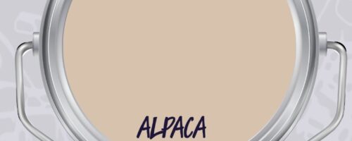 Vernice SETA Effetto Laccato Colore ALPACA | I Colori di Lucia