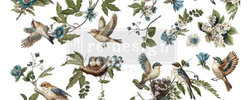 Aviary Elegance- large-transfer-655350677114