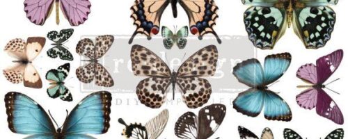 butterfly 655350655969-600x600