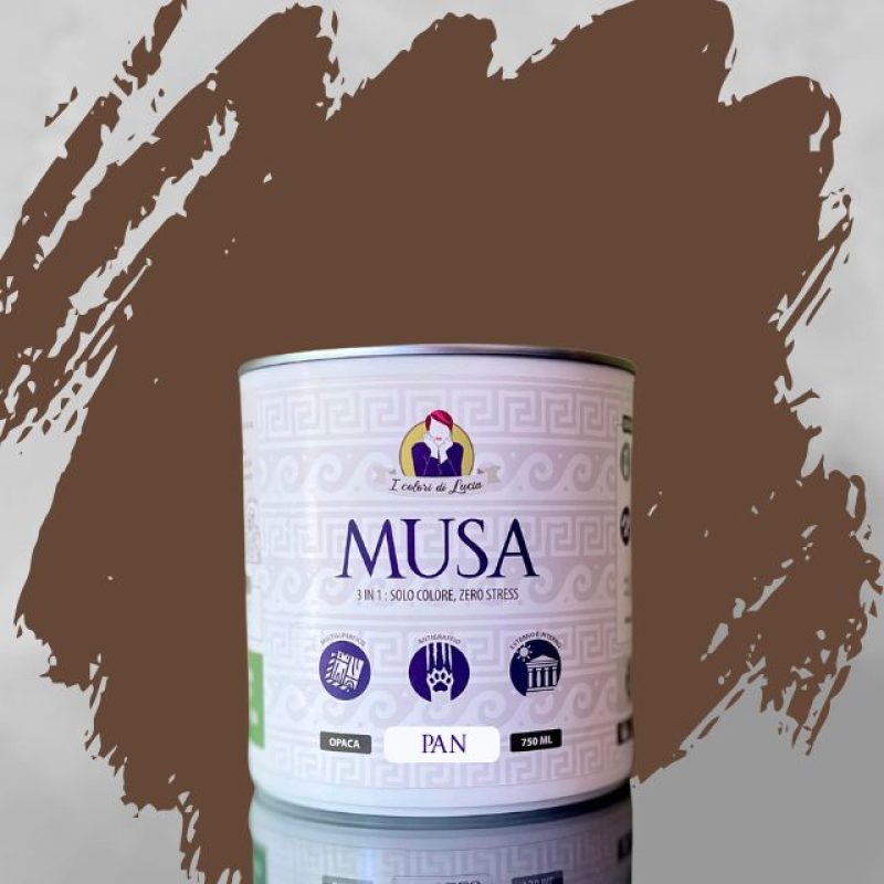vernice MUSA 3 in 1
